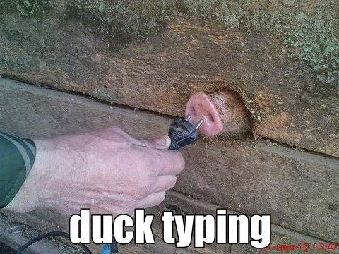 duck-typing.jpg