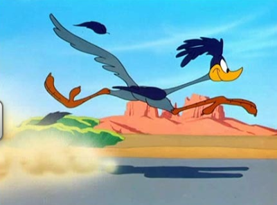 roadrunner.png